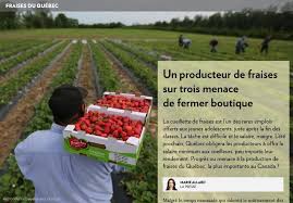 Un Producteur Sur Trois Menace De Fermer Boutique La Presse