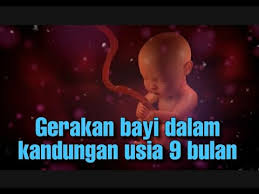 Bayi dalam rahim sebenarnya telah memasuki kehamilan 12 minggu. Gerakan Janin 9 Bulan Dalam Kandungan Youtube