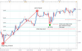 How To Trade Using The Fibonacci Sequence Crypto News Net