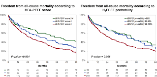 Image result for H2FPEF Score