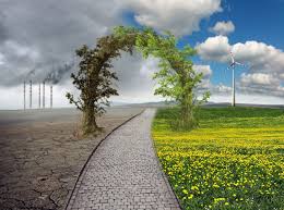 Image result for climate change