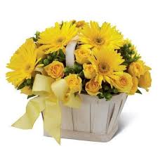 Il compleanno rimane comunque l'occasione migliore per regalare dei fiori. Cestino Di Fiori Freschi Composizione Con Fiori Gialli Misti Di Stagione