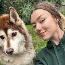 Kip Bayside: Premium Dog Daycare & Boarding in Moorabbin VIC