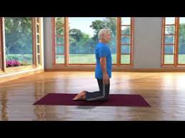 Yoga With Modi Ustrasana Telugu Youtube