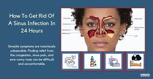 How To Get Rid Of A Sinus Infection In 24 Hours? – Nasoneb®