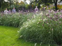 Petra Pelz Laga Giessen 2014 Bepflanzung Landschaftsbau Fur Kleinen Hinterhof Stauden
