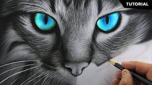 How To Draw Realistic Cat For Beginners Fur Drawing Technique Youtube