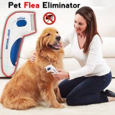 We are full service veterinary care provider in medical, surgical, dental and preventative care, such as vaccinations and consultations on nutrition and behavior 7 days. Pet Care Clinic Pet Shop Home Facebook