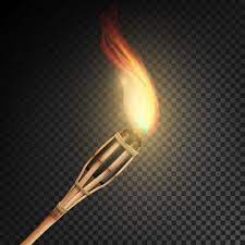 Burning Beach Bamboo Torch With Flame Realistic Fire Realistic Fire Torch Isolated On Transparent Background Vector Illustration Torch Flame Sport Png And Ve Fire Torch Transparent Background Vector Illustration