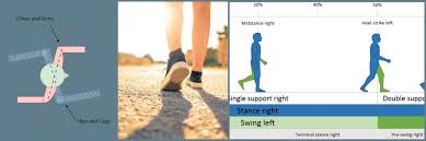 Image result for Gait