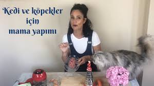Kedi Ve Kopekler Icin Evde Kolayca Yas Ve Kuru Mama Yapimi Kendin Yap Diy Youtube