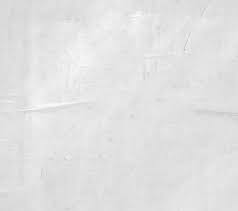 2024 APA Annual Meeting Guide