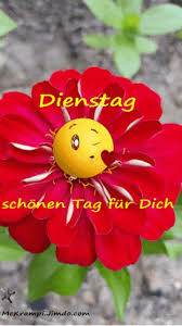 Https Encrypted Tbn0 Gstatic Com Images Q Tbn 3aand9gcsaxeunpu5aqfrv6gclscu7vttfr9hvszlpha Usqp Cau