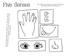 Too many colors can create a sense of confusion, so don't go overboard: Five Sense Coloring Pages For Kids Coloring Home