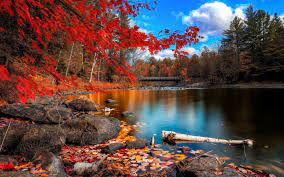 ❤ get the best nature background pictures on wallpaperset. Beautiful Nature Background Wallpapers Fall Computer Backgrounds 1920x1200 Wallpaper Teahub Io