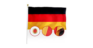 Image result for Glebionis carinata `German Flag`