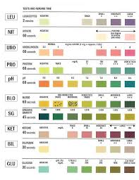 Urine Test Strip Portal Myhealth