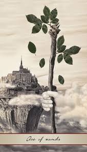 Once there is a signification. Lotus Tarot Deck