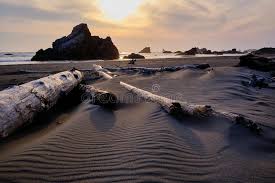 269 Brookings Oregon Photos Free Royalty Free Stock Photos From Dreamstime