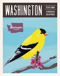Birds Of Western Washington State Vintage Washington Series Poster 1 American Goldfinch Wa Etsy Vintage Poster Design State Birds Goldfinch