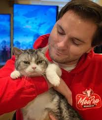 Pin By Gamepati Szalona On Hermitcraft Beauty In 2020 Minecraft Memes Crafts