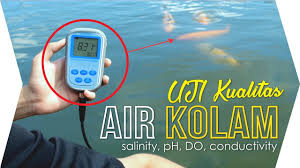 613 likes · 1 talking about this. Uji Kualitas Air Kolam Salinity Do Ph Conductivity 0281 6572222 Cv Java Multi Mandiri Youtube