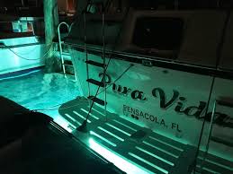 I am going over the supplements i took and. Led Fishing Squid Light Superbrite 8000 X2 By Alumiglo