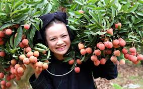 Kinh nghiệm mua máy giặt loại nào tốt. Ä'iá»ƒm Danh Nhá»¯ng Loáº¡i Váº£i Thiá»u Ngon Ná»©c Tiáº¿ng Ä'áº¥t Viá»‡t Vov Vn