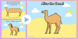 Alice the camel has five humps with lyrics kids action song children love to sing. Alice The Camel Primary Resources
