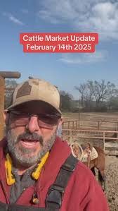 🚨 Cattle Market Update