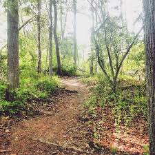 Stillwell Woods Trail Is A 4 8 Mile Moderately Trafficked Loop Trail Located Near Woodbury New York That Features Beautiful Wild Flowe Trail Wood Wild Flowers
