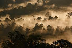 Using the best available scientific knowledge and advancing that. Wwf Malaysia Linkedin