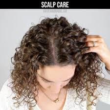 Today, we would be talking about how to comb curly hair without making it frizzy. Video How To Diffuse Curly Hair Without Frizz For Beginners Gena Marie Curly Hair Styles Damp Hair Styles Polished Hair
