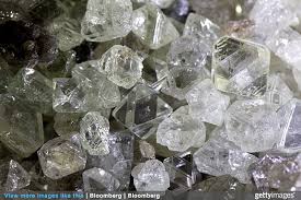 Image result for Haumaniastrum katangense