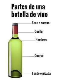 Partes De Una Botella Botellas De Vino Vinos Y Quesos Cata De Vinos