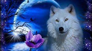 We offer an extraordinary number of hd images that will instantly freshen up your smartphone or computer. Fantasy Wolf Wallpapers Top Free Fantasy Wolf Backgrounds Wallpaperaccess
