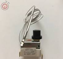 Factory Direct Sales Customized 0~300degrees Capillary Thermostat for Water Heater/Oven