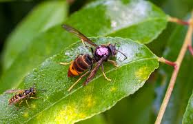 Sophia diamond leak i felt like truly unforgettable session