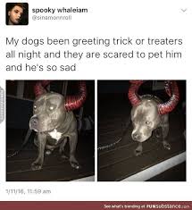 Saddest Spooker Funsubstance Funny Halloween Memes Halloween Memes Halloween Funny