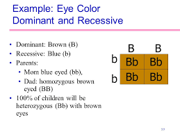 principles of heredity ppt video online download