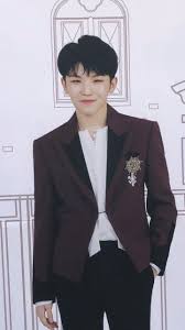Seventeen merupakan sebuah grup musik pop rock asal indonesia yang saat ini berdomisili di jakarta. Seventeen Seventeen Wallpaper Gadis Mingyu Wonwoo