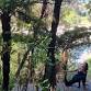 Thursday 60 Minute Yin Yoga. event image
