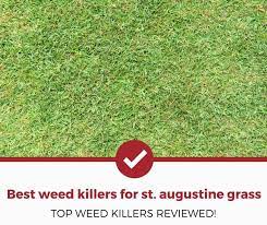Top 5 Best Weed Killer For St Augustine Grass 2021 Review Pest Strategies