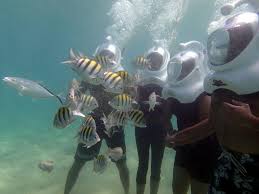 Puerto Rico Helmet Diving San Juan Puerto Rico Cruise Excursions