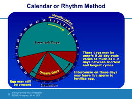 Family Planning And Contraception Ppt Video Online Download