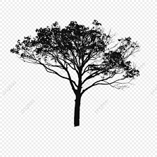 Tree Vector Black And White Tree Vector Clipart Tree Clipart Tree Png Vector Png Transparent Clipart Image And Psd File For Free Download Black And White Tree Black Tree Tree Photoshop