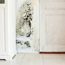 Mould can only develop in damp conditions. How To Avoid Dangerous Mold Growth In The Laundry Room