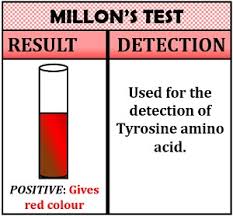 Indole in tryptophan) via electrophilic aromatic substitution. Qualitative Analysis Of Amino Acids Definition Methods Biology Reader