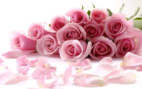 Image result for ‫روز دختر‬‎