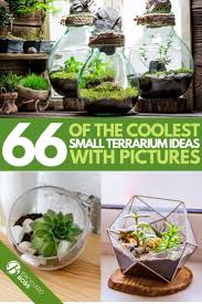 Pin On Farmhouse Plant Display Ideas